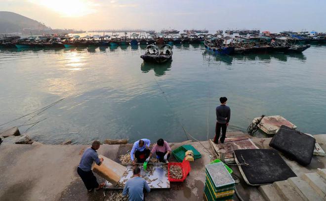 海幢寺附近美食_海美食_海南的美食