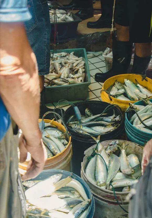 海美食_海南的美食_海幢寺附近美食