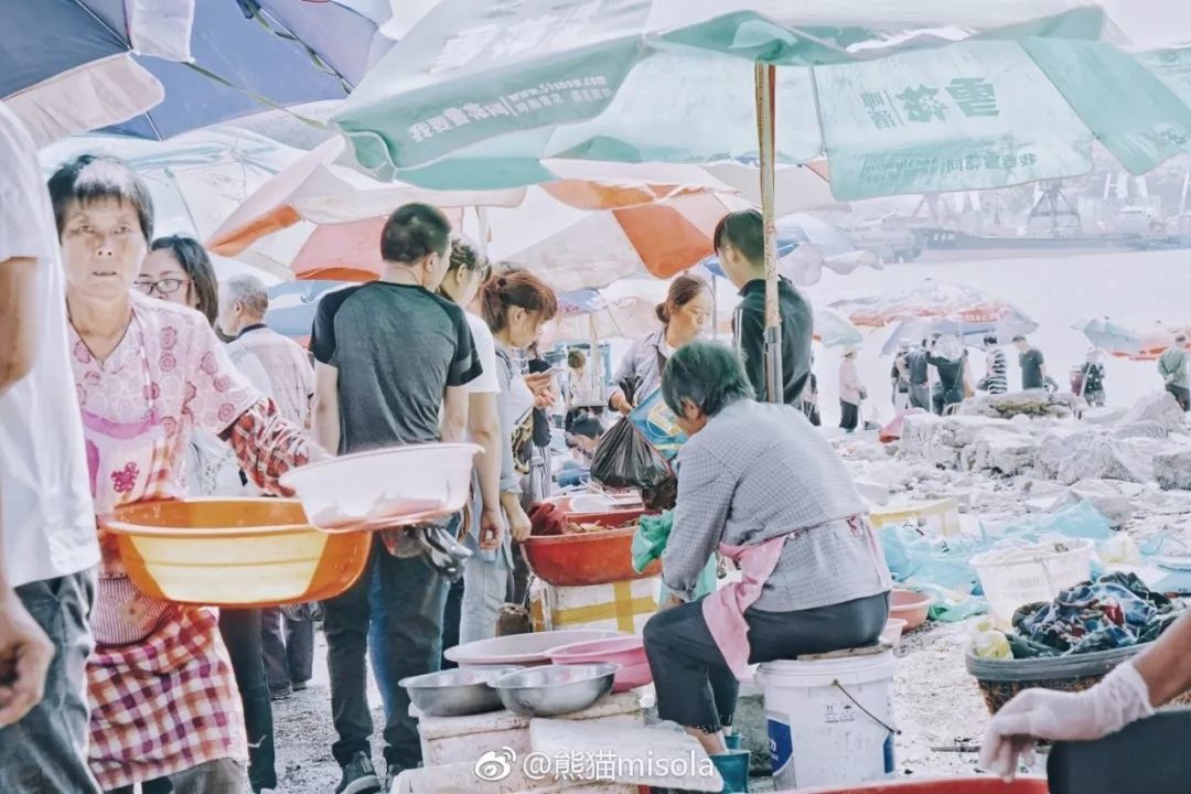 海南的美食_海美食_漳州海丝美食