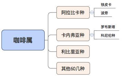 咖啡口味种类及特点_咖啡种类及口味_咖啡口味种类及区别