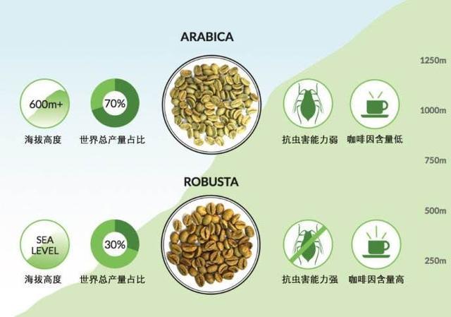 咖啡口味种类及区别_咖啡口味种类及特点_咖啡种类及口味