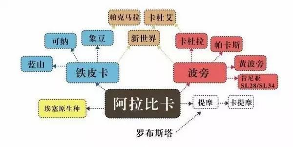 咖啡口味种类及特点_咖啡种类及口味_咖啡口味种类及区别