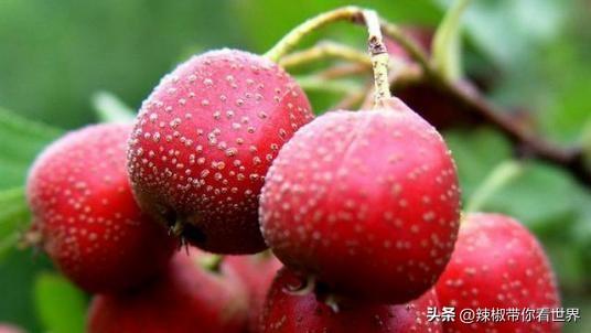 蒙山美食_蒙山小吃_蒙山美食