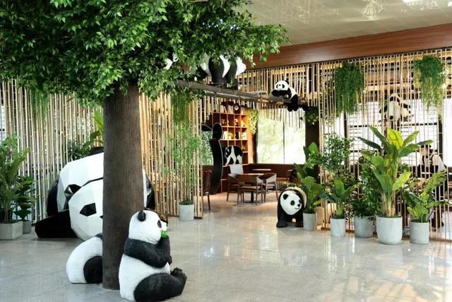 北京动物园熊猫咖啡成新网红，景区咖啡厅融合发展引关注